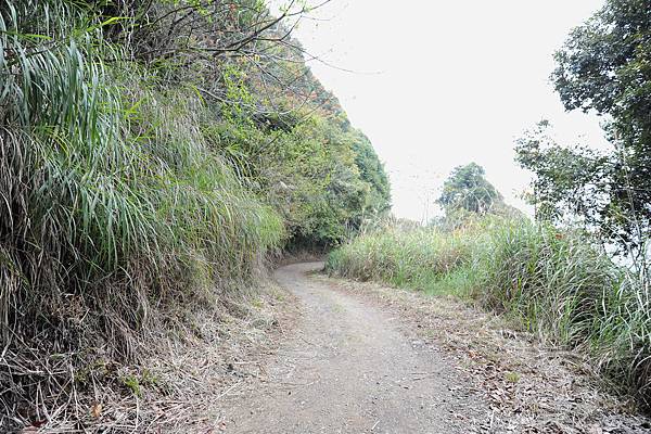 DSC_014.jpg DSC_014.jpg