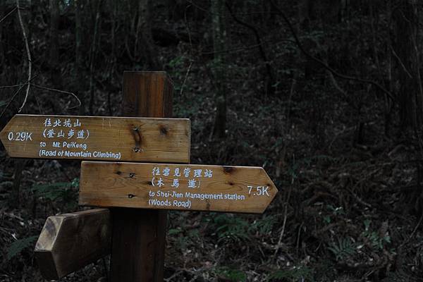 DSC_030.jpg DSC_030.jpg