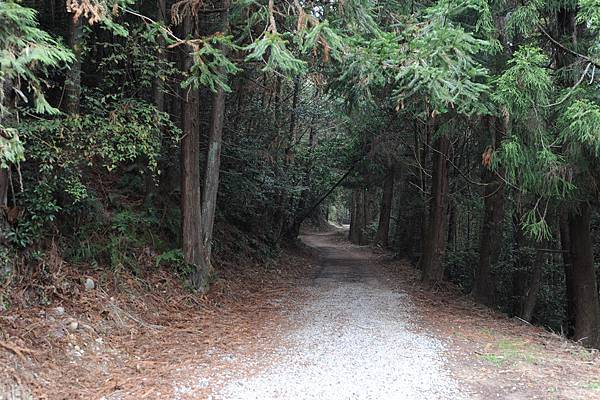 DSC_017.jpg DSC_017.jpg