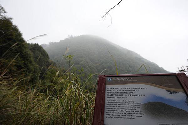 DSC_038.jpg DSC_038.jpg