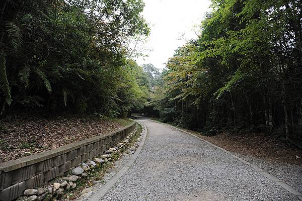 DSC_010.jpg DSC_010.jpg