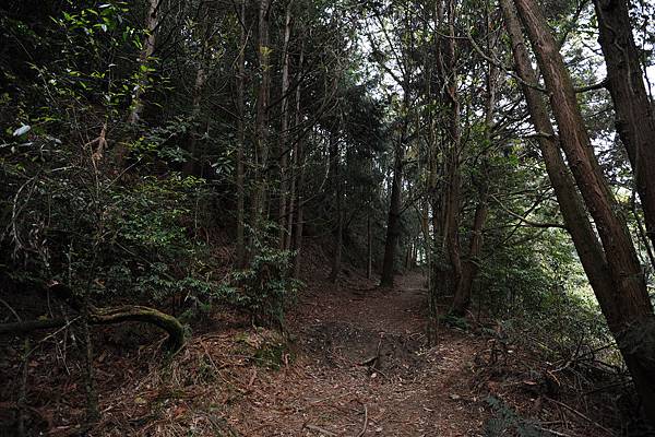 DSC_036.jpg DSC_036.jpg