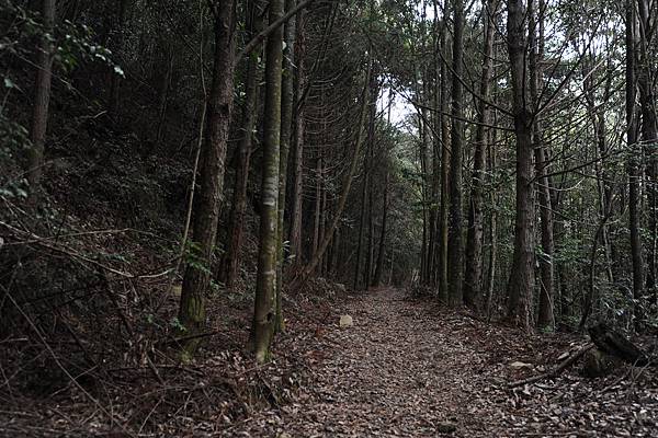 DSC_040.jpg DSC_040.jpg