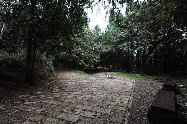 DSC_028.jpg DSC_028.jpg