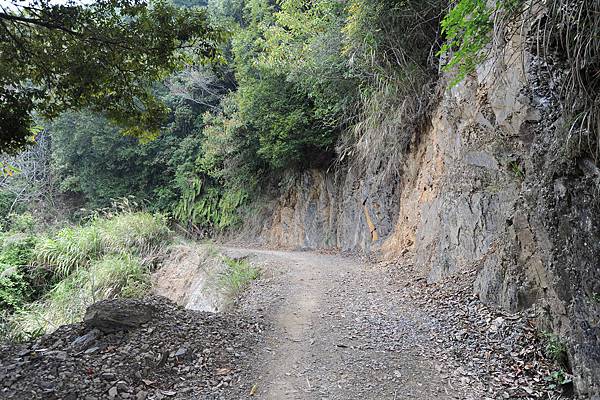 DSC_013.jpg DSC_013.jpg