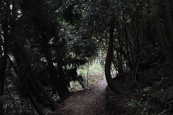 DSC_035.jpg DSC_035.jpg