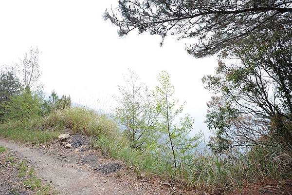 DSC_026.jpg DSC_026.jpg