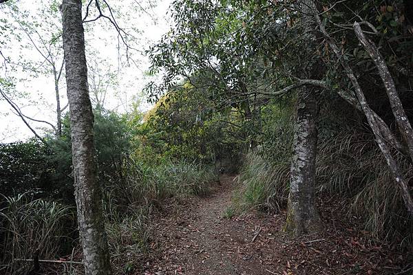 DSC_033.jpg DSC_033.jpg