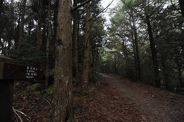 DSC_031.jpg DSC_031.jpg