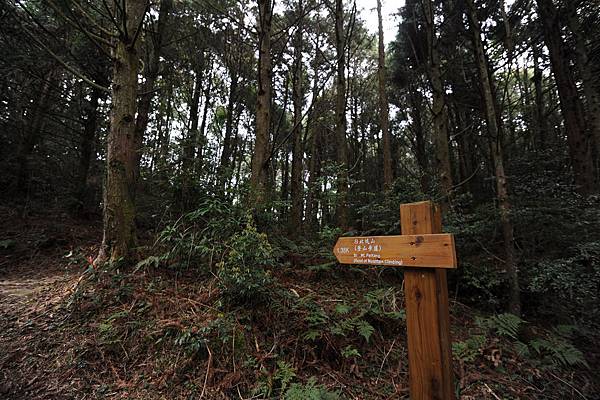 DSC_029.jpg DSC_029.jpg