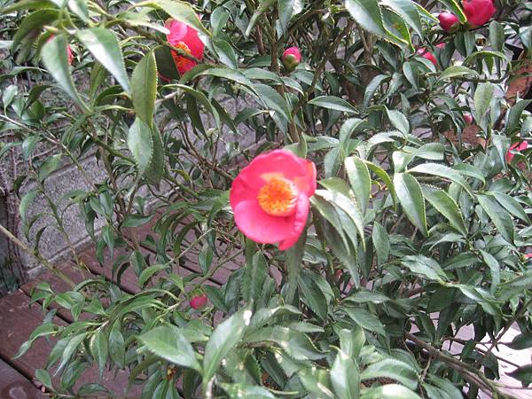 IMG_0751 IMG_0751