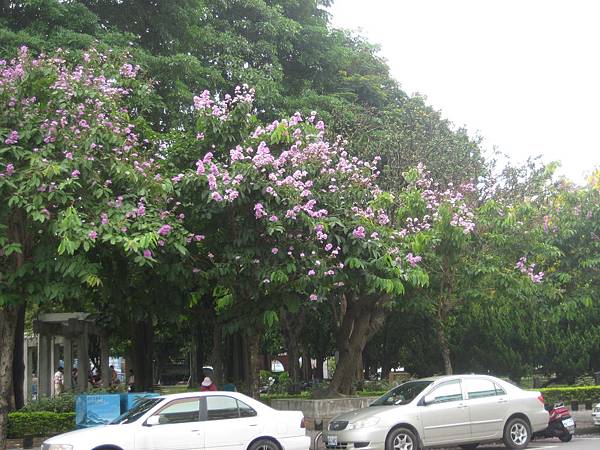 IMG_0257 IMG_0257
