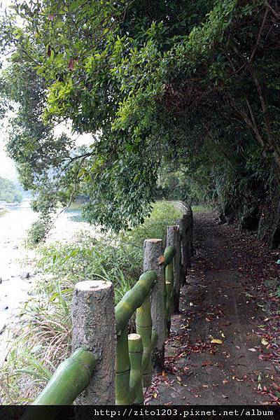 濃濃「鄉」愁的坪林 (4).jpg 濃濃「鄉」愁的坪林 (4).jpg