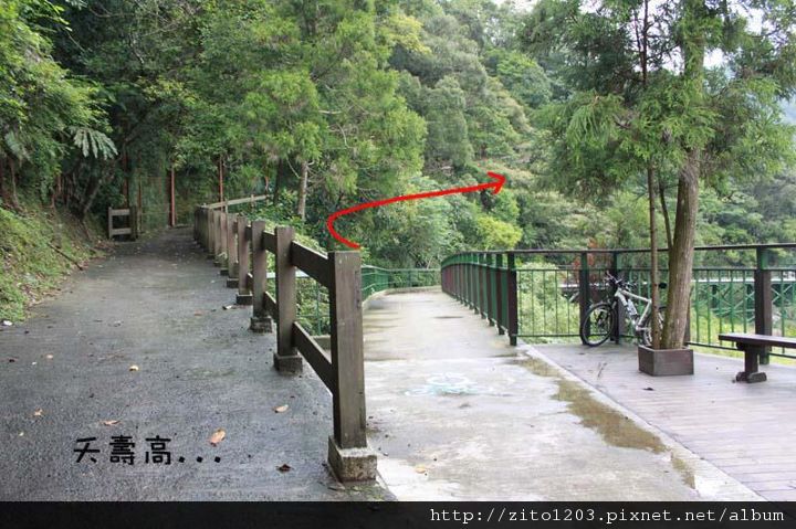 濃濃「鄉」愁的坪林 (21).jpg