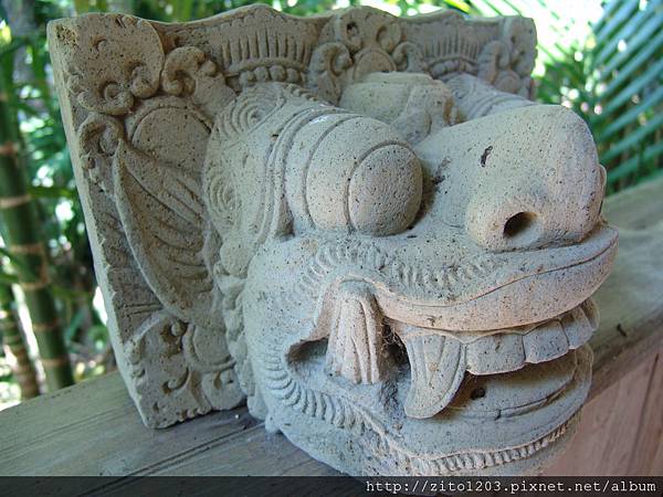 EMBA 小眼睛貓頭鷹 (82).JPG EMBA 小眼睛貓頭鷹 (82).JPG