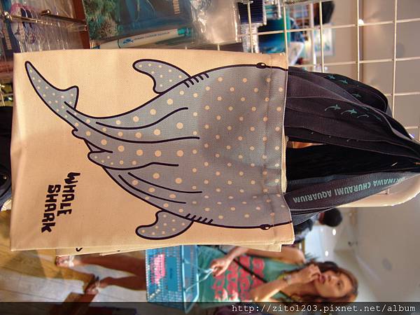 EMBA 小眼睛貓頭鷹 (54).JPG EMBA 小眼睛貓頭鷹 (54).JPG