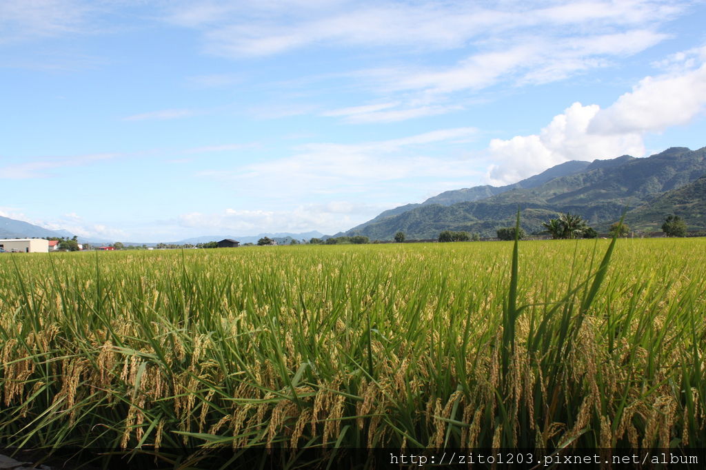 花蓮 (22).JPG