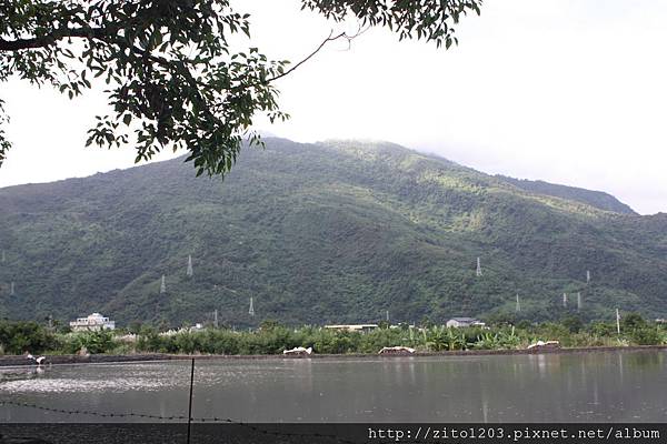 IMG_8922.JPG IMG_8922.JPG