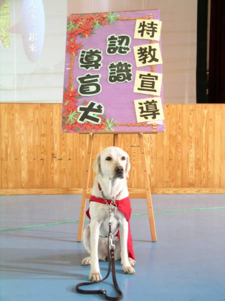 DSCN6397.JPG DSCN6397.JPG