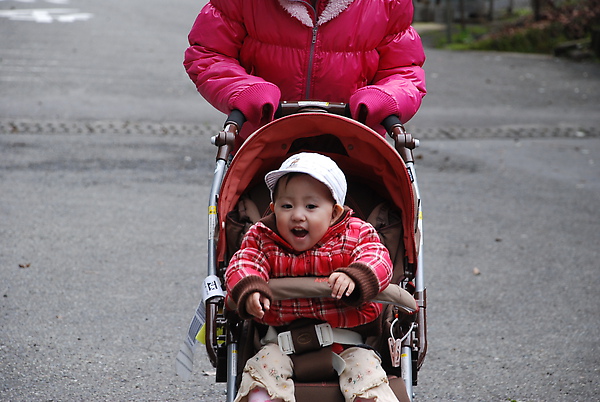 DSC_0315.JPG DSC_0315.JPG