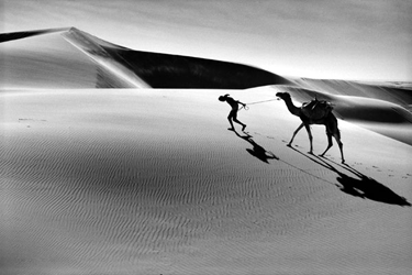 depardon-作品-非洲.gif depardon-作品-非洲.gif