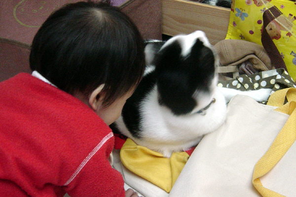 DSC03288.jpg DSC03288.jpg