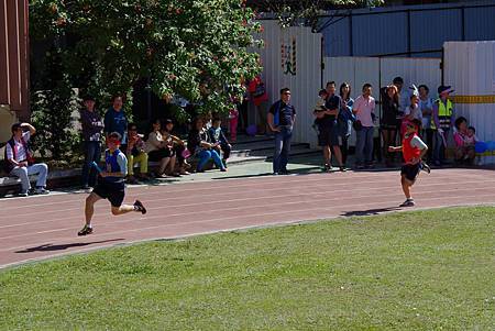 1658230_808225742569017_3918468000708802213_o