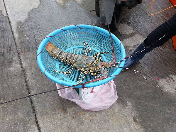 大溪漁港鷹石尖 082 大溪漁港鷹石尖 082