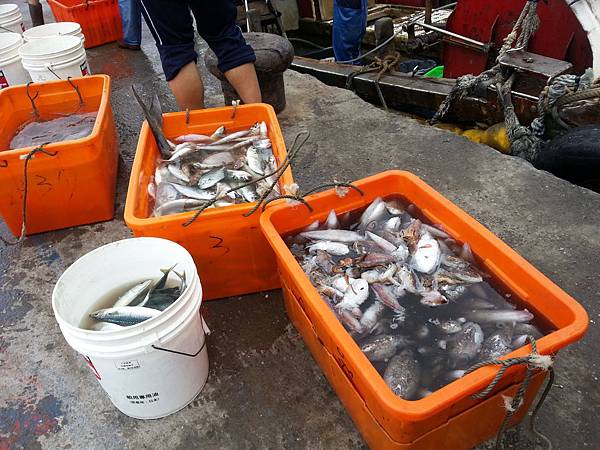 大溪漁港鷹石尖 087 大溪漁港鷹石尖 087