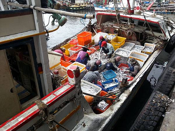 大溪漁港鷹石尖 090 大溪漁港鷹石尖 090