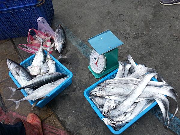 大溪漁港鷹石尖 091 大溪漁港鷹石尖 091