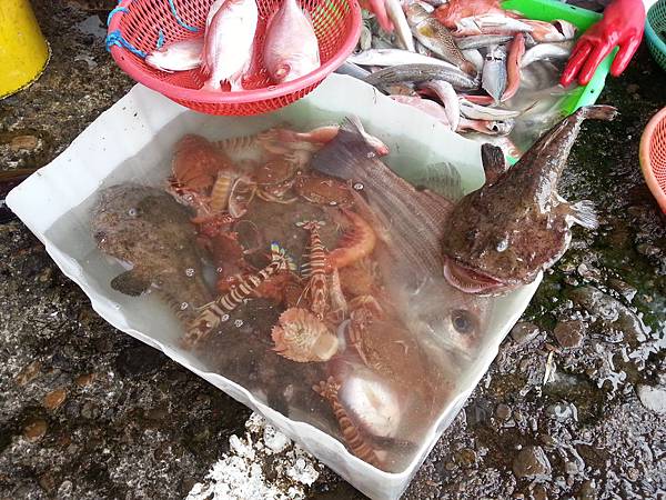 大溪漁港鷹石尖 096 大溪漁港鷹石尖 096