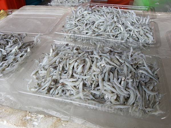 大溪漁港鷹石尖 097 大溪漁港鷹石尖 097