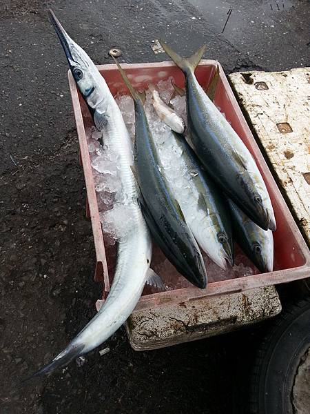 大溪漁港鷹石尖 101 大溪漁港鷹石尖 101