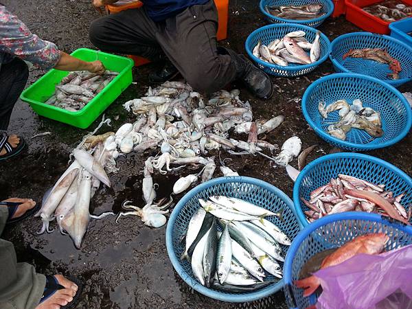 大溪漁港鷹石尖 102 大溪漁港鷹石尖 102