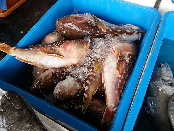 大溪漁港鷹石尖 103 大溪漁港鷹石尖 103