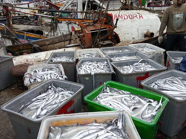 大溪漁港鷹石尖 106 大溪漁港鷹石尖 106