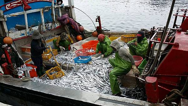 大溪漁港鷹石尖 155 大溪漁港鷹石尖 155