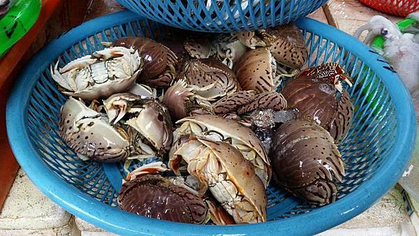 大溪漁港鷹石尖 157 大溪漁港鷹石尖 157