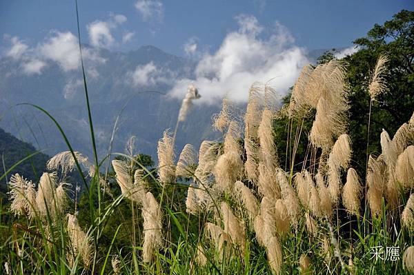 97l_uNQBTWqCXPcTaC94MA 97l_uNQBTWqCXPcTaC94MA