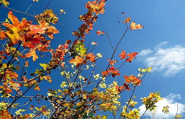 WBYseWn18G_wN4Lg6zgquA WBYseWn18G_wN4Lg6zgquA