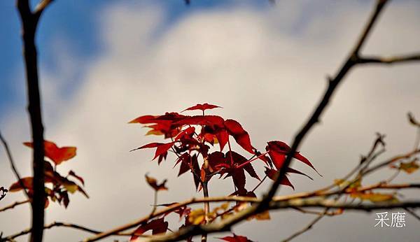 Q0a8KW2pLB7dnr0J_7vXjA Q0a8KW2pLB7dnr0J_7vXjA