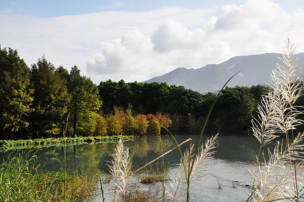 DSC_0502.jpg DSC_0502.jpg