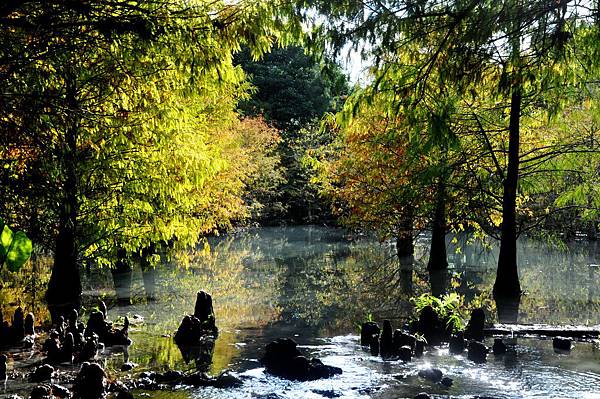 DSC_0505.jpg DSC_0505.jpg