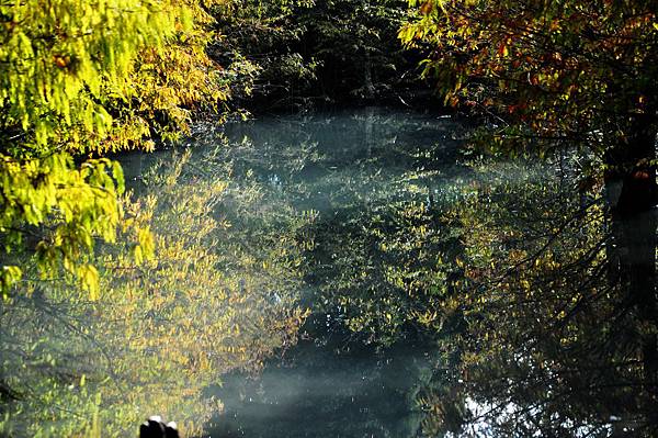 DSC_0507.jpg DSC_0507.jpg