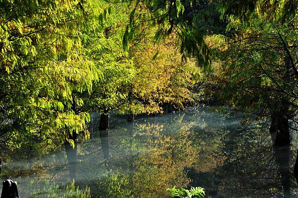 DSC_0513.jpg DSC_0513.jpg