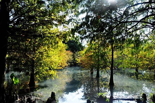 DSC_0514.jpg DSC_0514.jpg