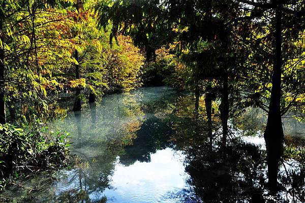 DSC_0515.jpg DSC_0515.jpg