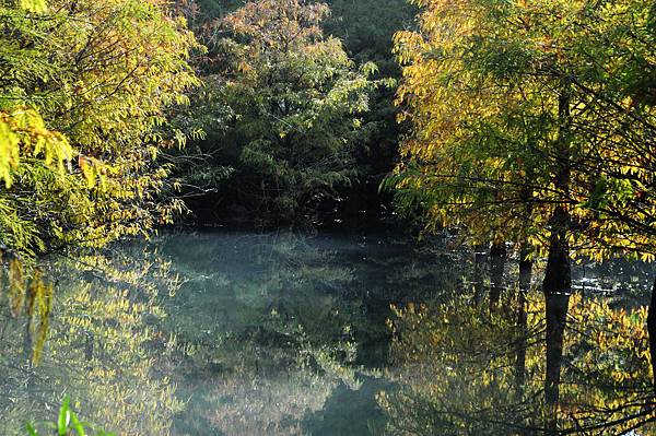 DSC_0519.jpg DSC_0519.jpg