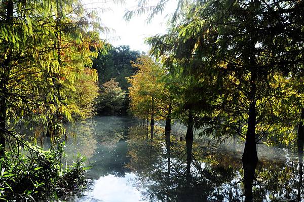 DSC_0520.jpg DSC_0520.jpg